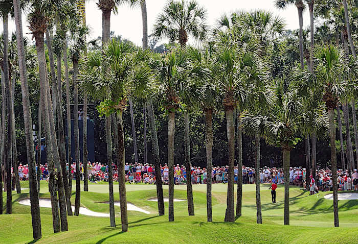 Tiger_Woods_Sports_Illustrated_00021